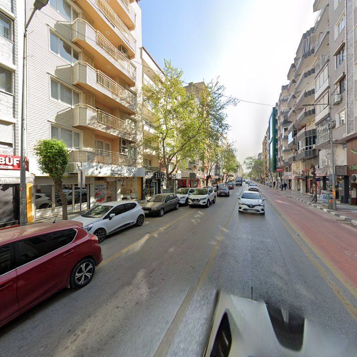 Fotoğraf 12
