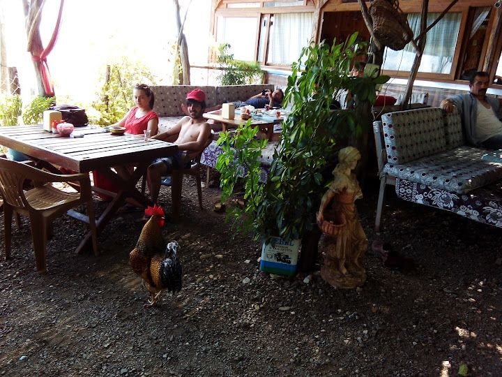 Fotoğraf 6