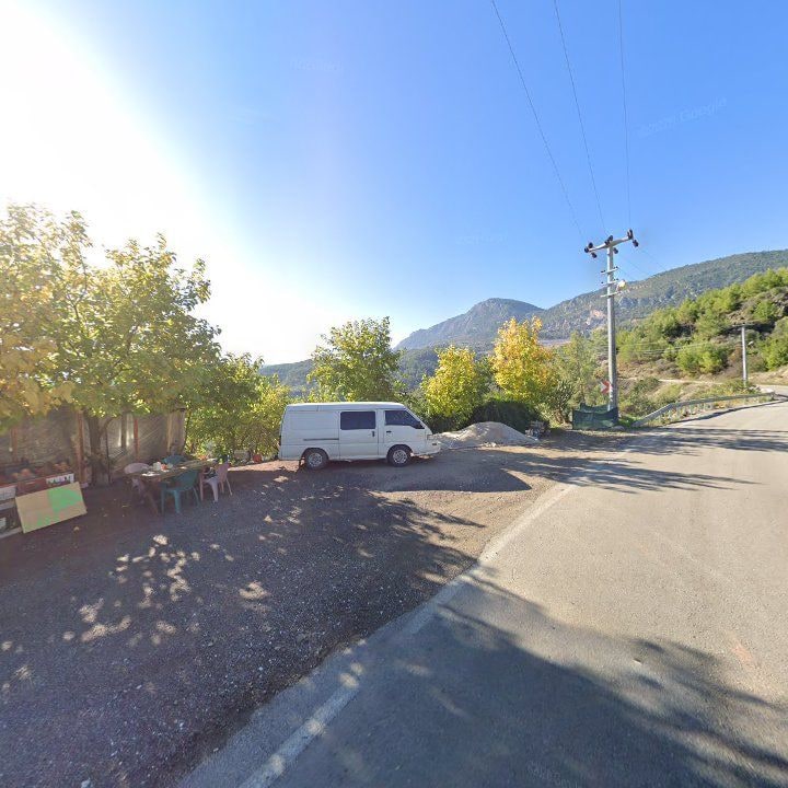 Fotoğraf 9