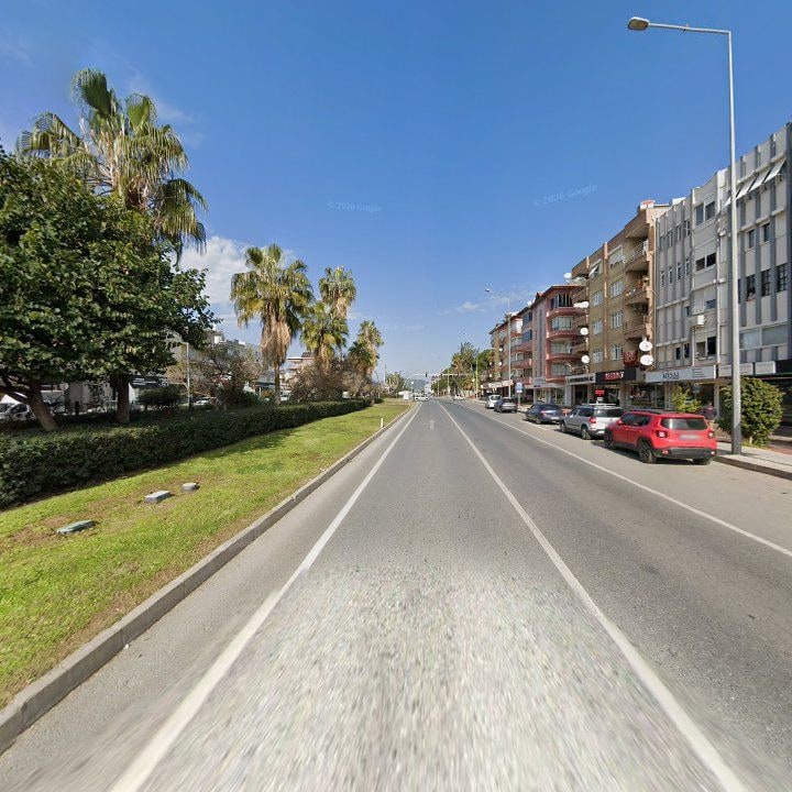 Fotoğraf 8