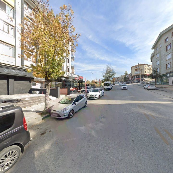 Fotoğraf 7