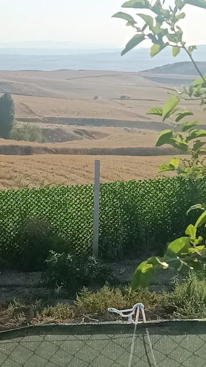 Nazende hobi bahçeleri