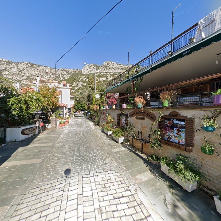 Fotoğraf 11