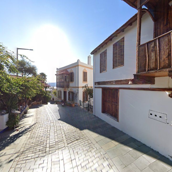 Fotoğraf 13