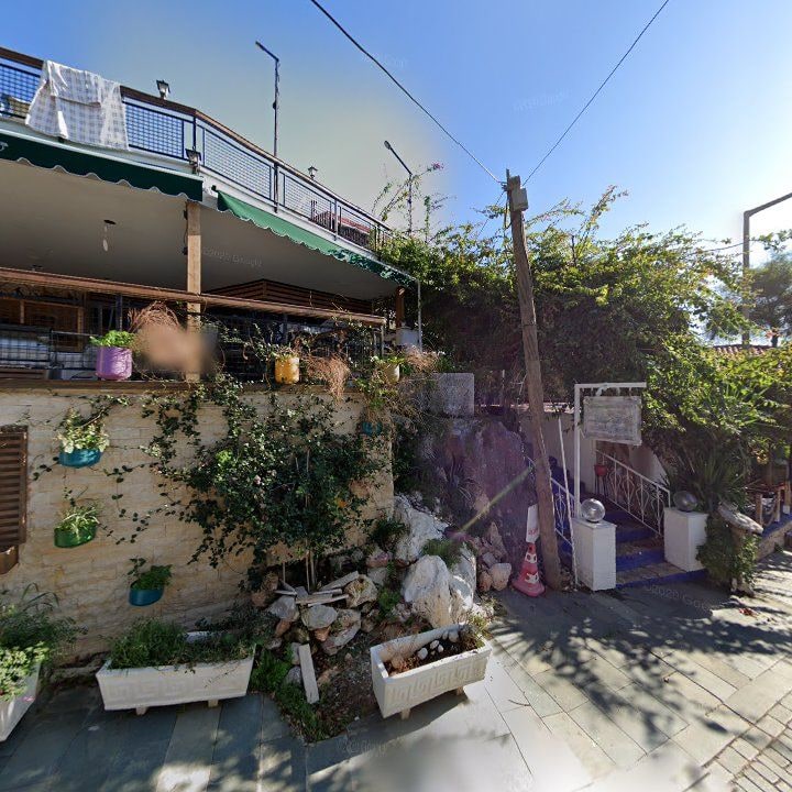 Fotoğraf 12