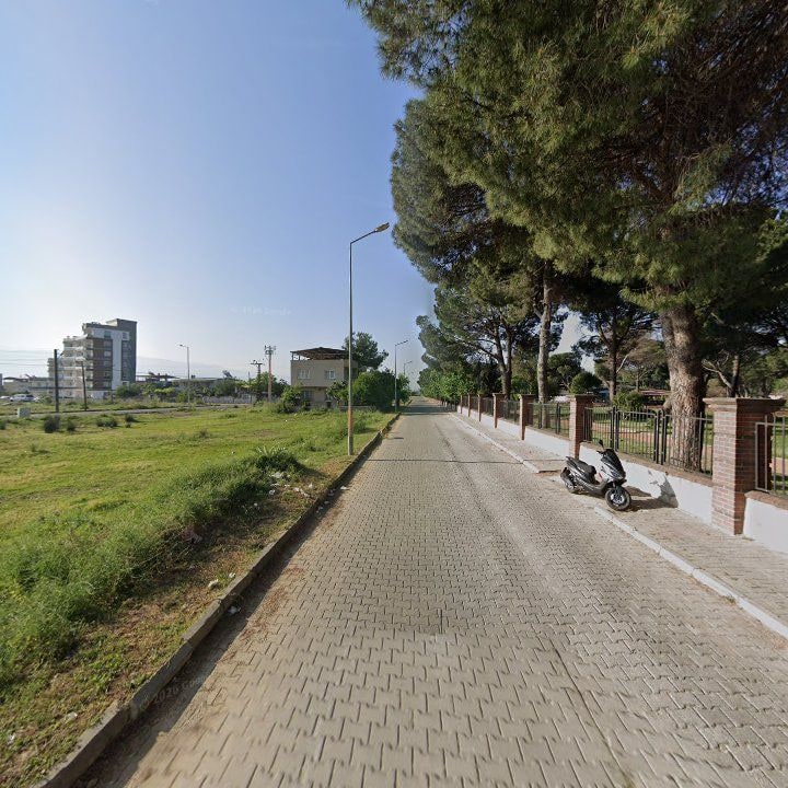 Fotoğraf 11