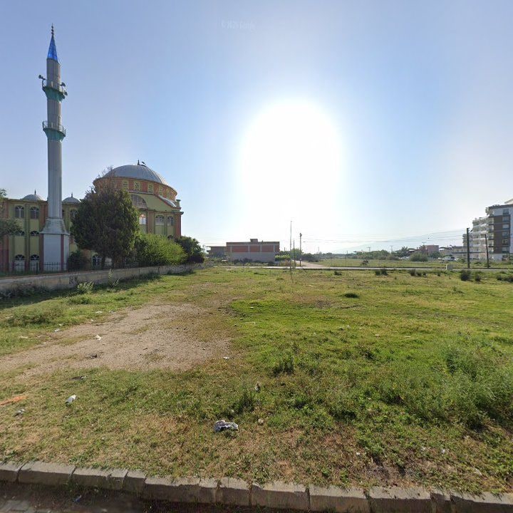 Fotoğraf 10