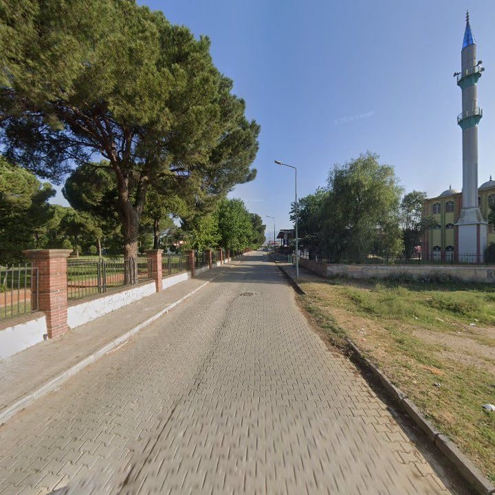 Fotoğraf 9