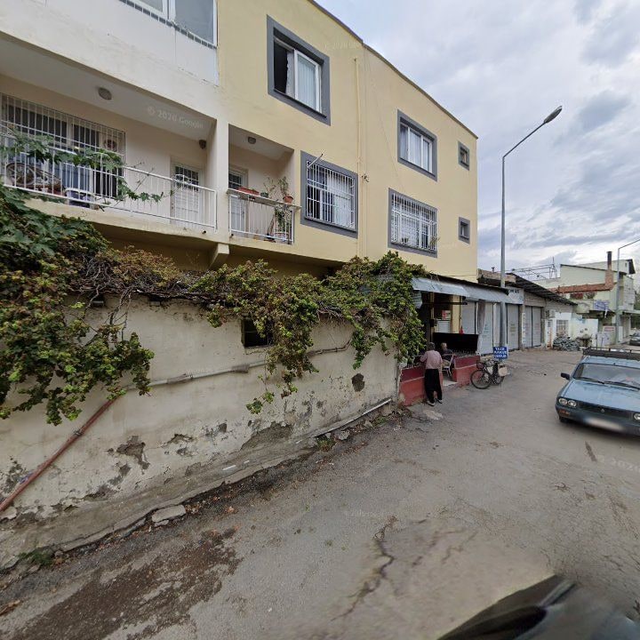 Fotoğraf 6