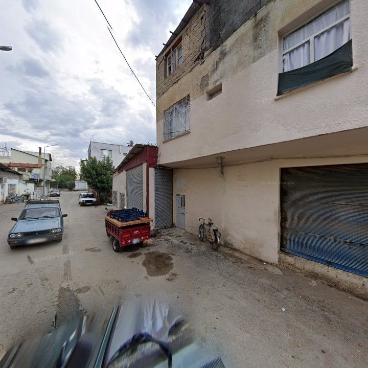 Fotoğraf 7