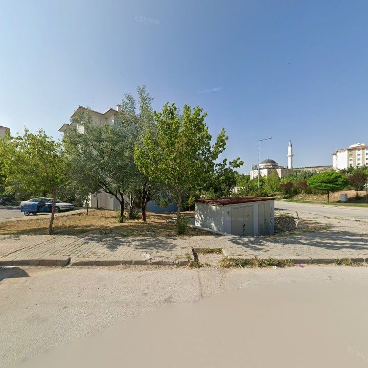 Fotoğraf 5