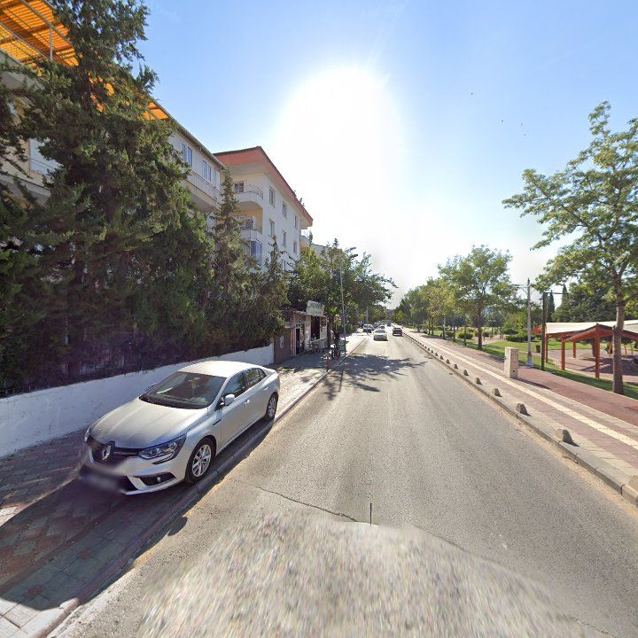 Fotoğraf 6