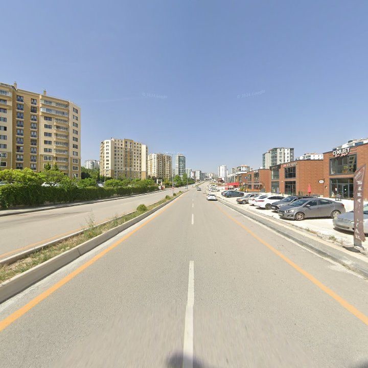 Fotoğraf 11