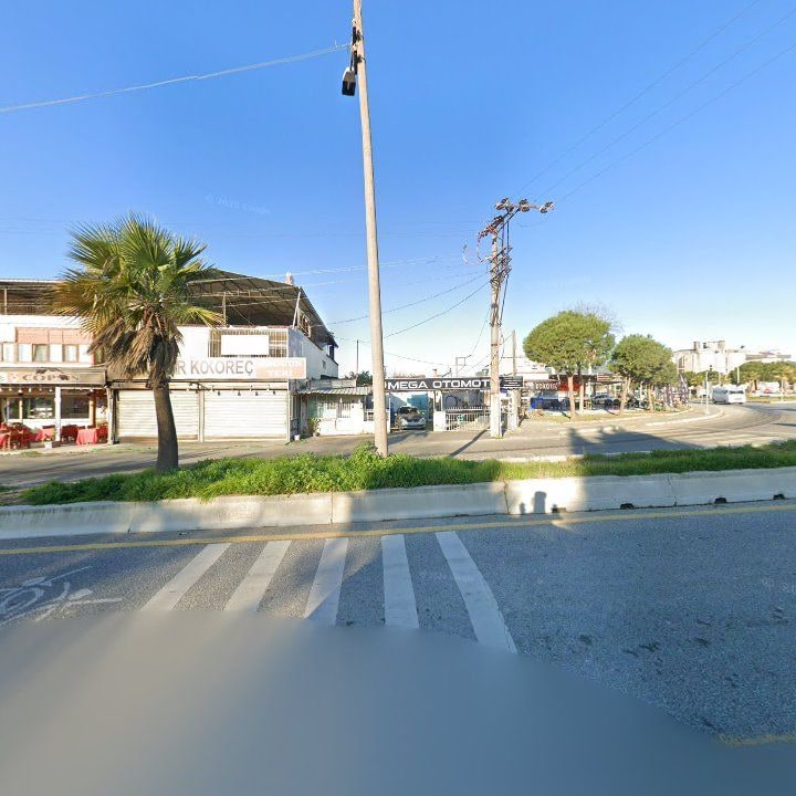 Fotoğraf 12