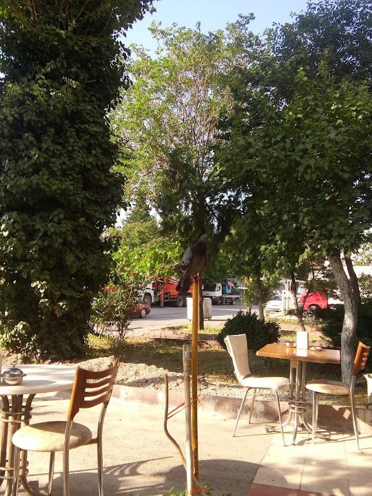 Fotoğraf 4