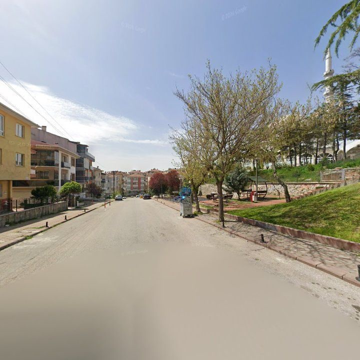Fotoğraf 8