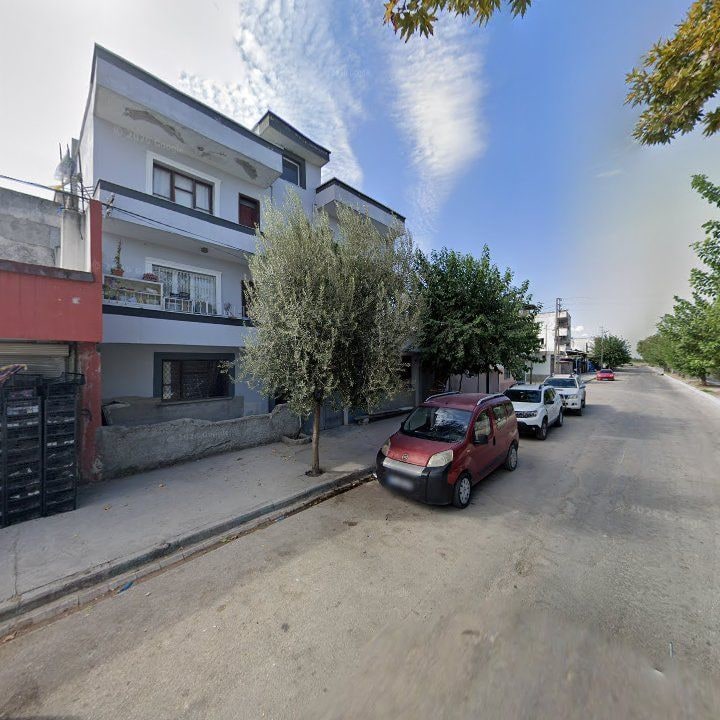 Fotoğraf 6