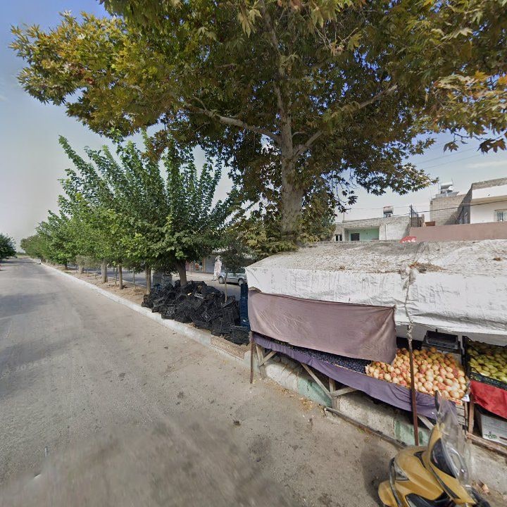 Fotoğraf 7
