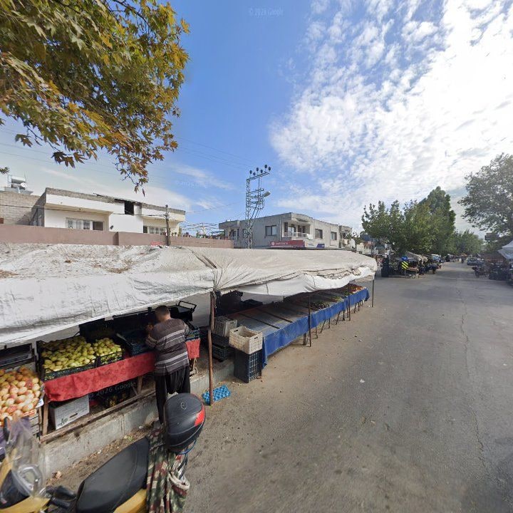 Fotoğraf 8