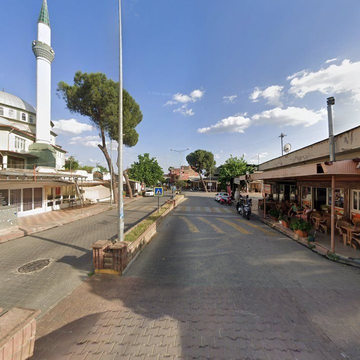 Fotoğraf 7