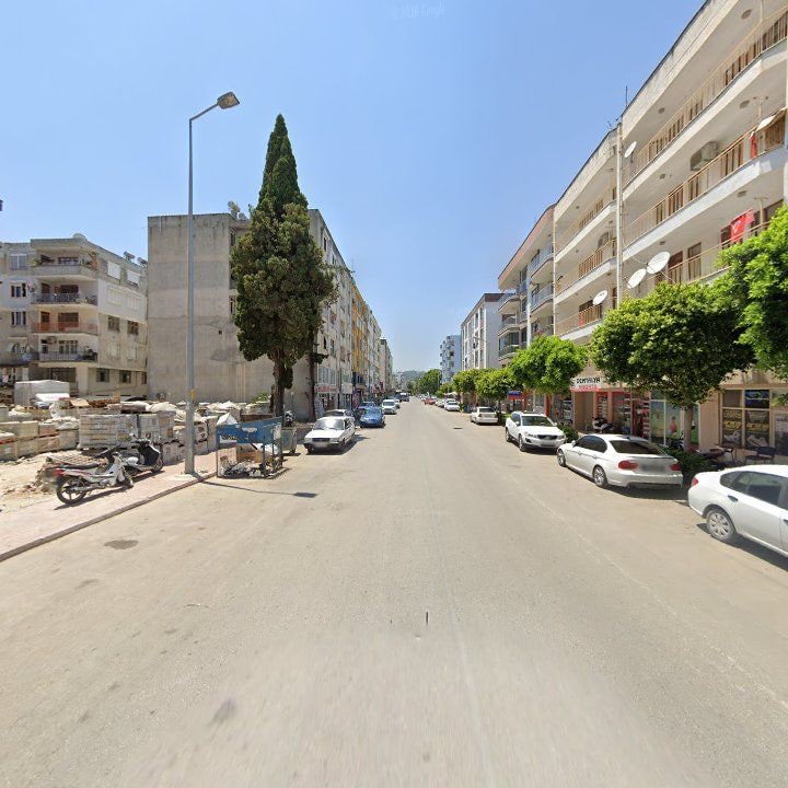 Fotoğraf 8