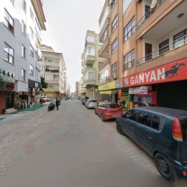 Fotoğraf 7