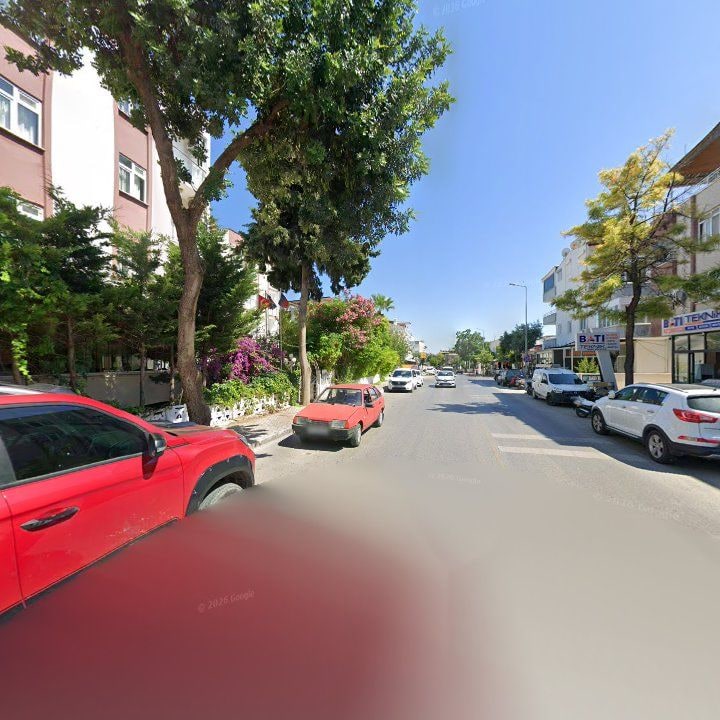 Fotoğraf 8