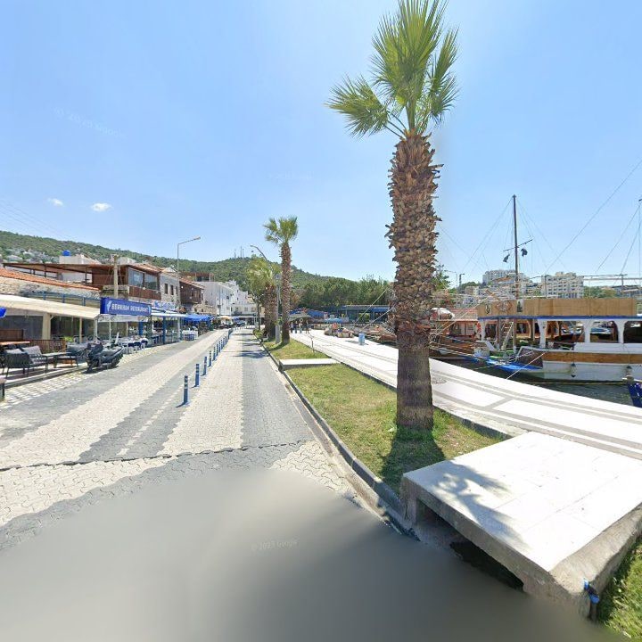 Fotoğraf 11