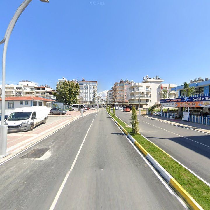 Fotoğraf 12