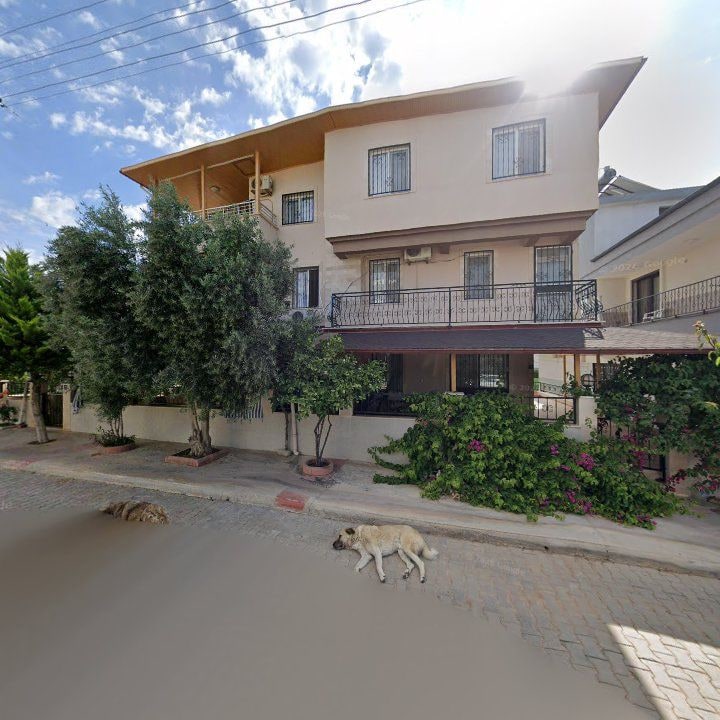 Fotoğraf 7