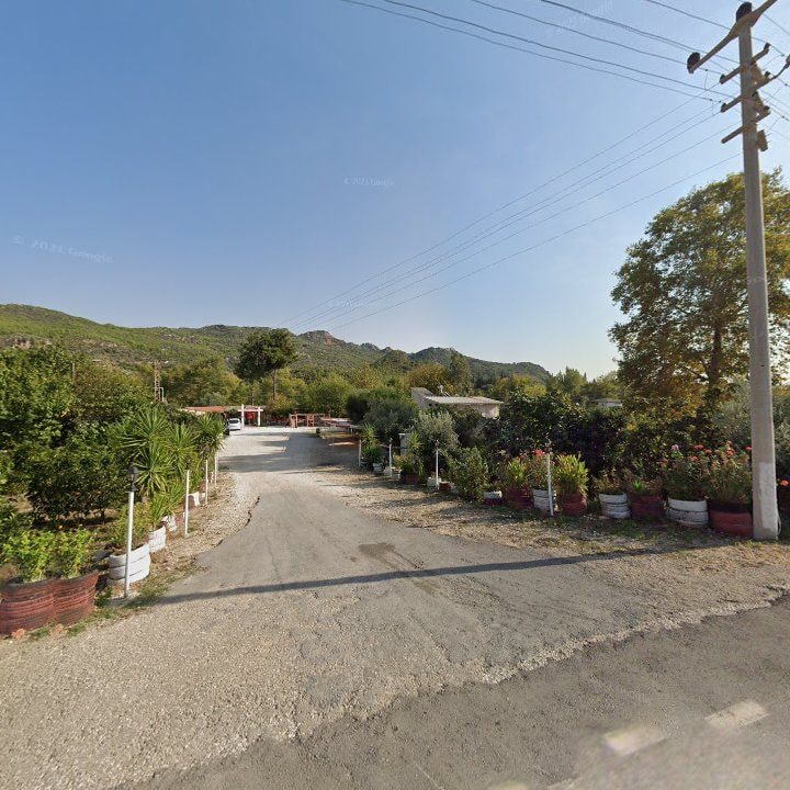 Fotoğraf 8