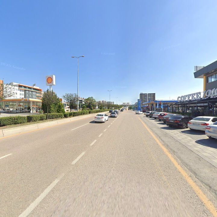 Fotoğraf 11