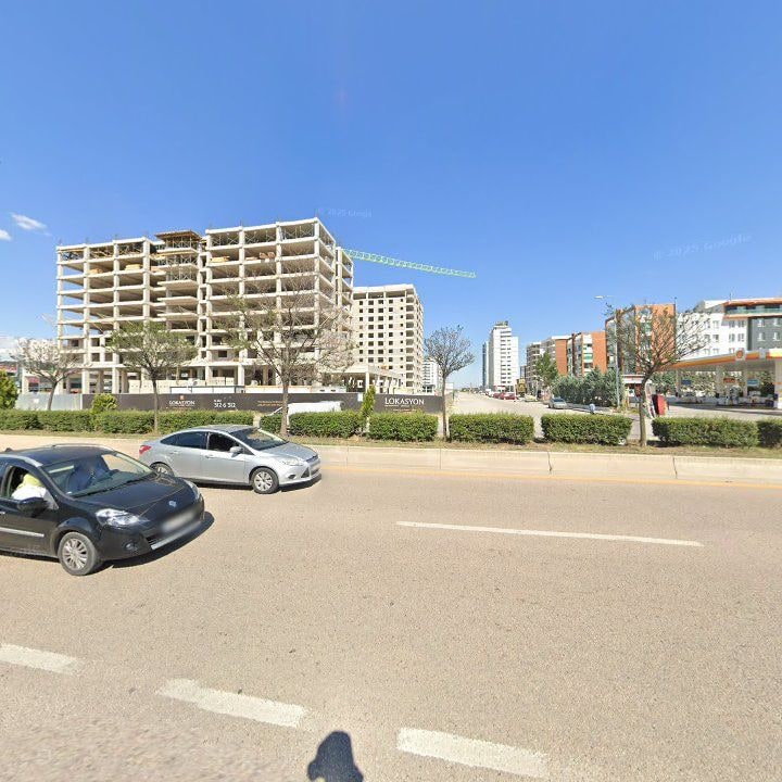 Fotoğraf 10