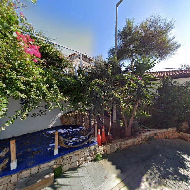 Fotoğraf 11