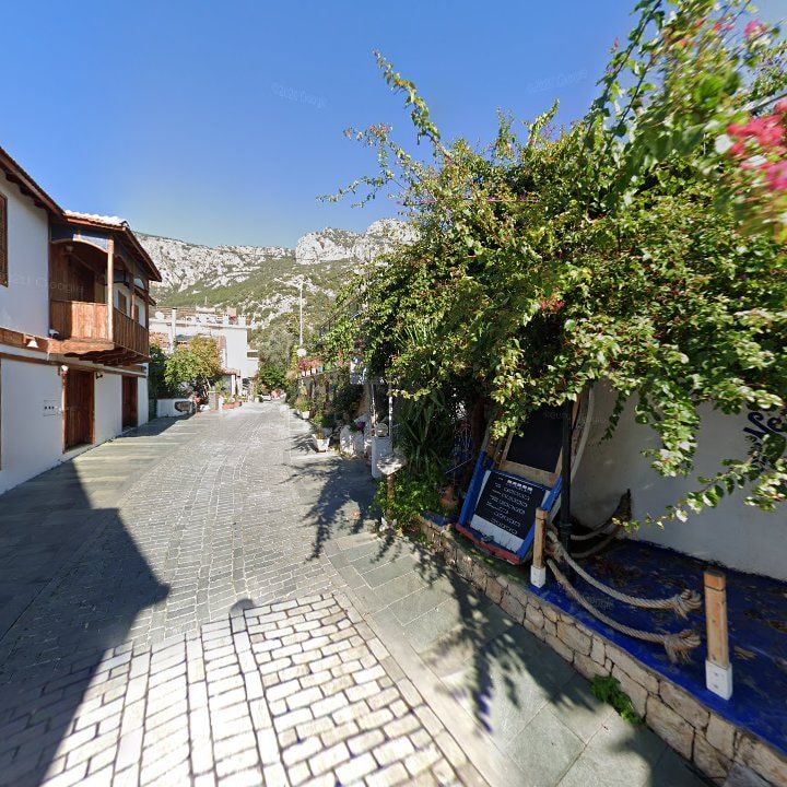 Fotoğraf 14