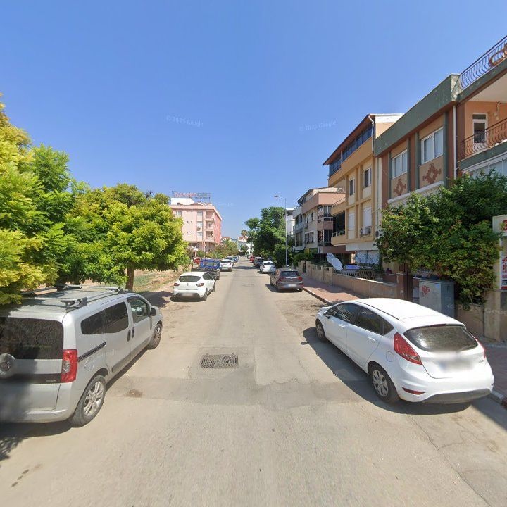 Fotoğraf 7