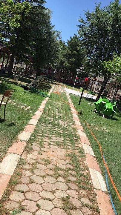 Fotoğraf 3