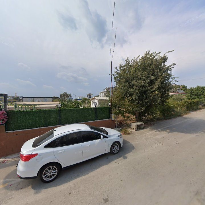 Fotoğraf 8