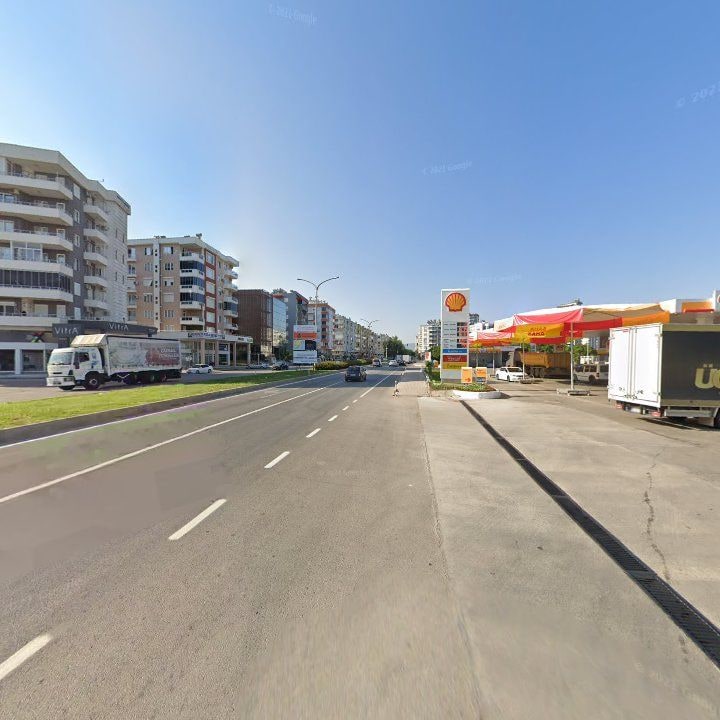 Fotoğraf 10