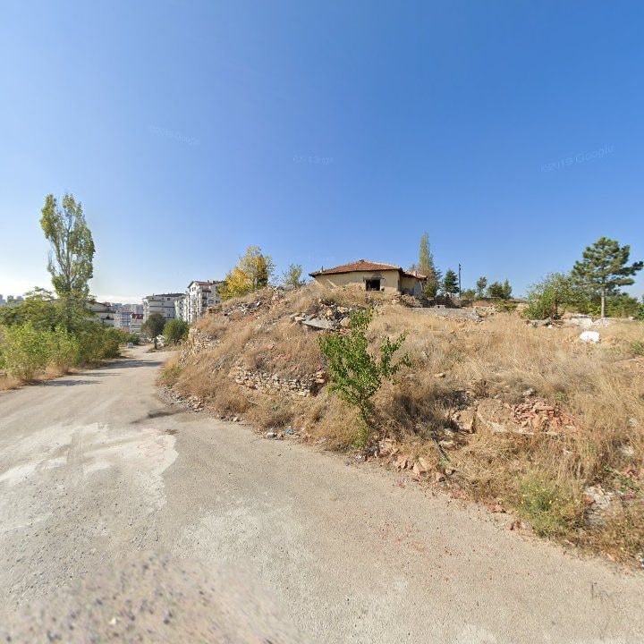 Fotoğraf 7