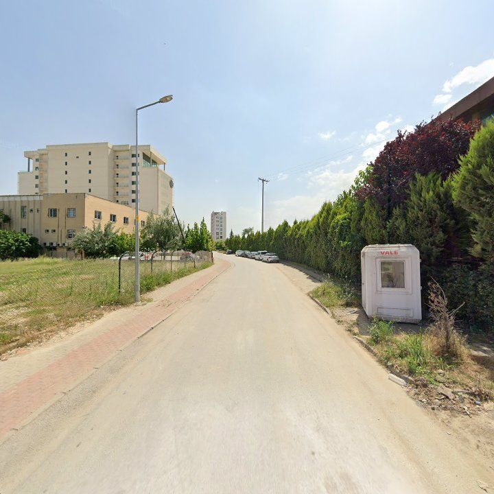 Fotoğraf 13