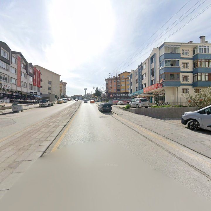 Fotoğraf 12