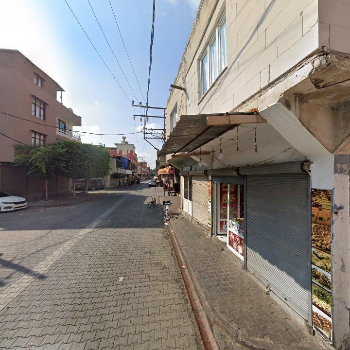 Fotoğraf 8