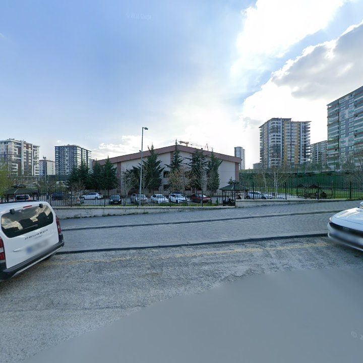 Fotoğraf 10