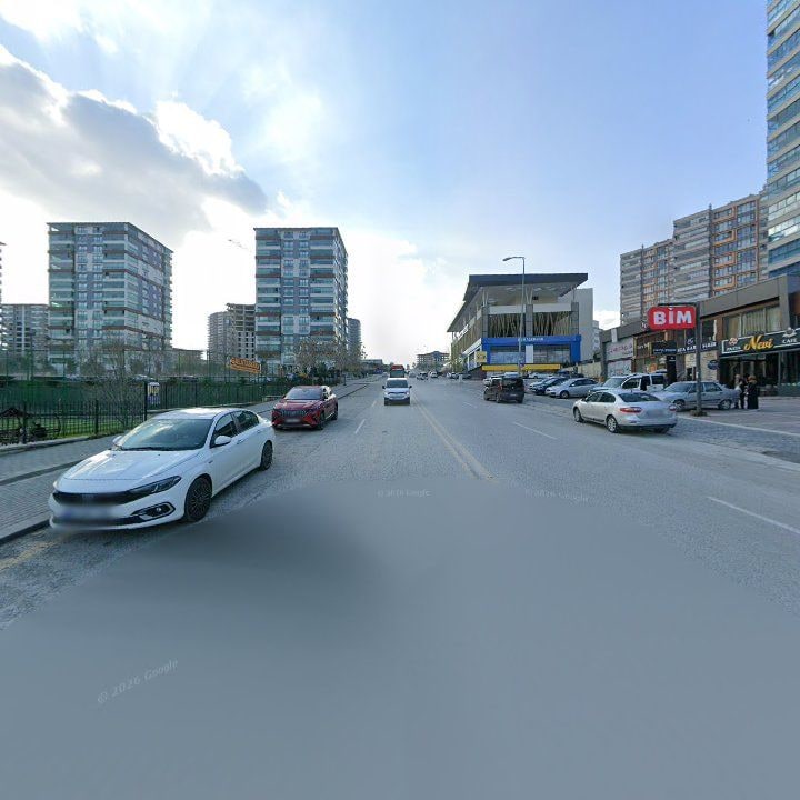 Fotoğraf 11