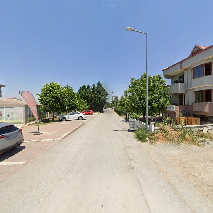Fotoğraf 9