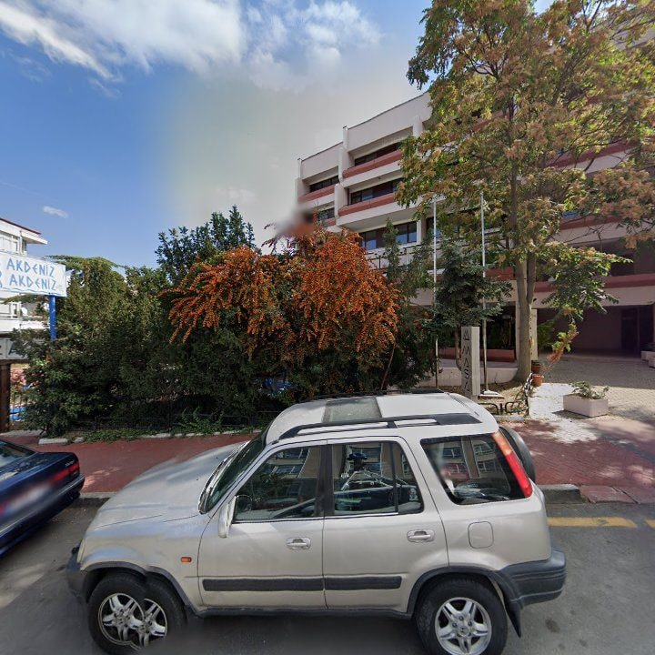 Fotoğraf 8