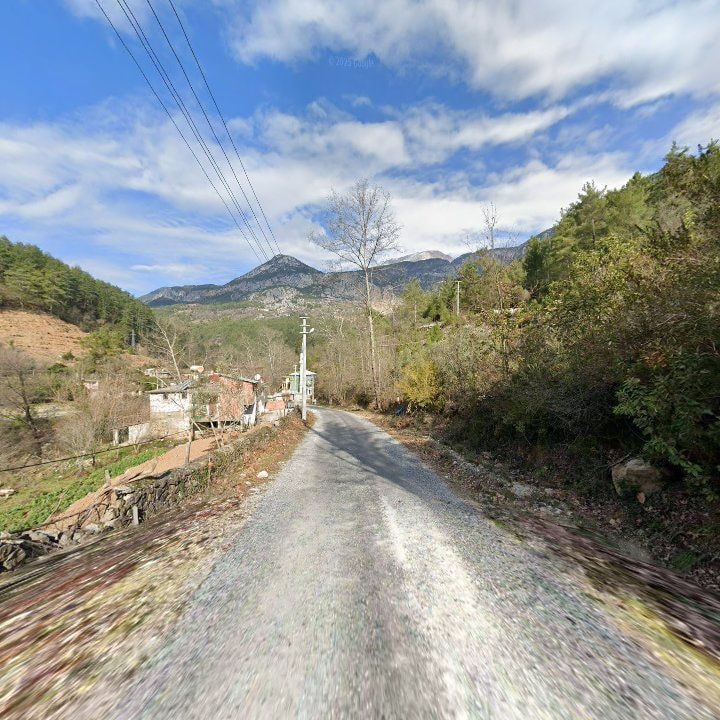 Fotoğraf 9