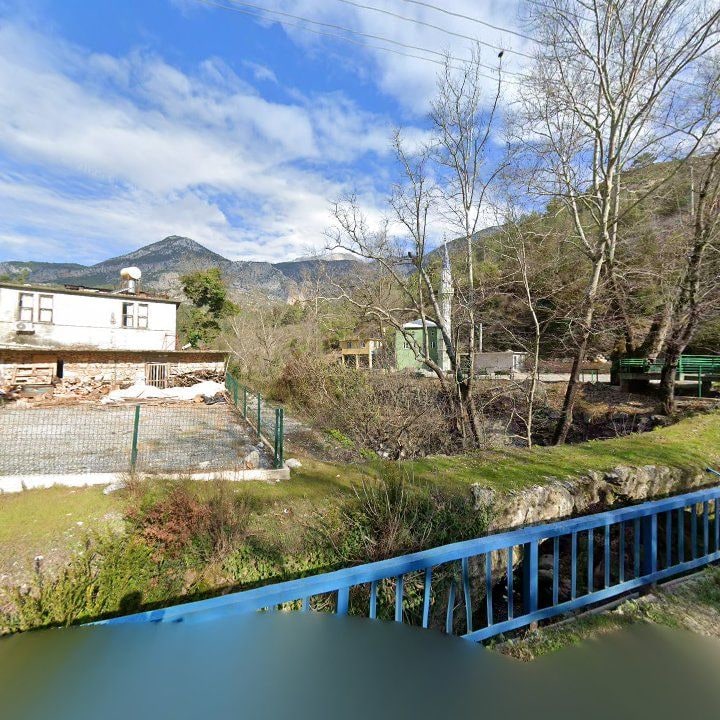 Fotoğraf 10