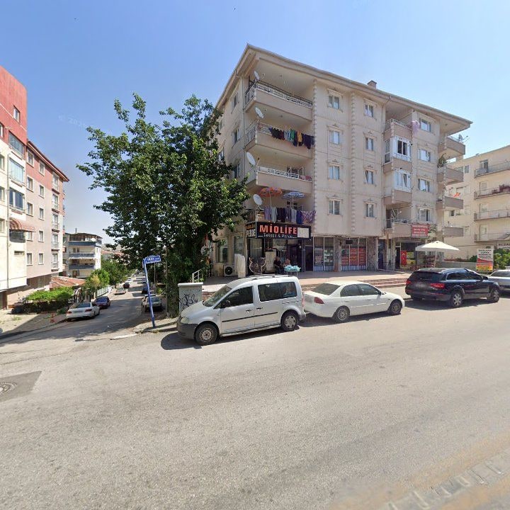 Fotoğraf 3